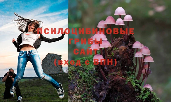 гашишное масло Нязепетровск