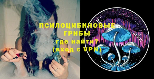 гашик Осташков