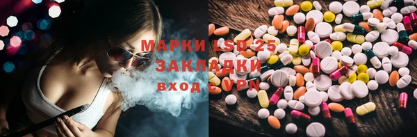 гашик Осташков