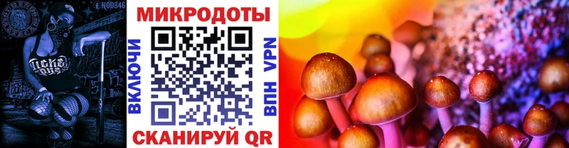 Псилоцибиновые грибы Magic Shrooms  Болхов 